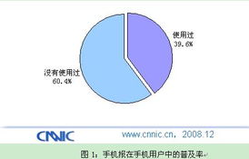中國互聯(lián)網(wǎng)絡(luò)信息中心（CNNIC）在計算機軟硬件技術(shù)研發(fā)中的戰(zhàn)略角色與創(chuàng)新實踐